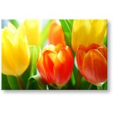  Slike na platnu cvetje tulipani KV140E11 (moderne slike na) | shoptok.hr