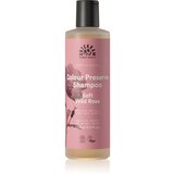 Urtekram soft wild rose šampon - 250 ml | Shoptok.si
