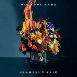 Plameni V Raju (CD)