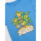 Sinsay Pamučna majica s printom Teenage Mutant Ninja Turtles | shoptok.hr
