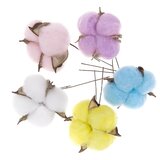 Cvetovi pamuka u boji - set 5 kom (sušeni cvetovi pamuka) Cene
