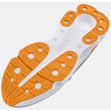 Under Armour Women's shoes W Infinite Pro We Run | Shoptok.si