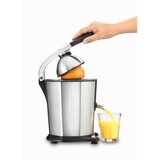 Solis cediljka za citruse | Eponuda.com