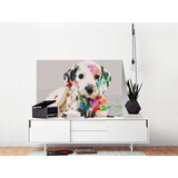  Slika za samostalno slikanje - Colourful Puppy 60x40 | shoptok.hr