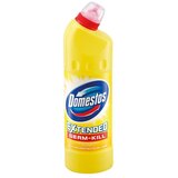 Domestos 750 ml 9100037 | ePonuda.com