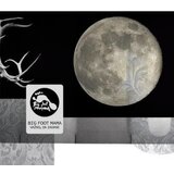 POSNETI MEDIJI BIG FOOT MAMA - VAŽNO DA ZADANE, (409424) | Shoptok.si