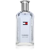 Tommy Hilfiger NEW YORK toaletna voda za moške 100 ml Cene