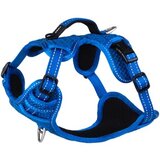Rogz explore nitelife am za pse s, plavi | ePonuda.com