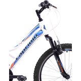 Capriolo Dečiji bicikl Diavolo 400 FS 919308-13 | ePonuda.com
