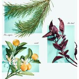 Tiffany & Co. Tiffany & Love parfemska voda za žene 50 ml | shoptok.hr