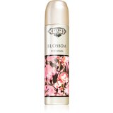 Cuba blossom parfemska voda 100 ml za žene | shoptok.hr