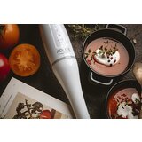 Adler napredni palični mešalnik - bel | Shoptok.si