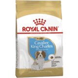 Royal Canin Breed Cavalier King Charles Puppy - 1,5 kg | Shoptok.si