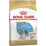 Royal Canin Breed Nutrition Kavalir Puppy, 1.5 kg Cene