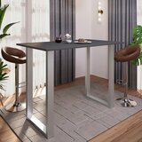 XXXL Barska Miza Xona, Antracit, Srebrna, 140x80cm Cene