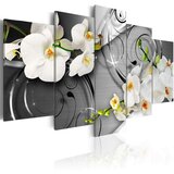  Slika - Milky orchids 100x50 Cijene