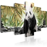  Slika - Cute Panda Bear 100x50 Cijene