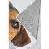 Conceptum Hypnose tepih (180x280) WOOKECE082 | ePonuda.com