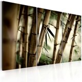  Slika - In a tropical forest 60x40 Cijene