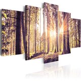  Slika - Morning Idyll 200x100 Cijene