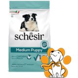 Schesir dog Medium Puppy, Chicken 3kg, Hrana Za Štence Srednjih Rasa Cene
