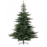  novogodišnja jelka Grandis fir Everlands 150cm Cene