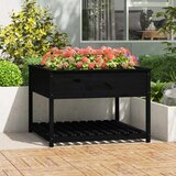 Maison Chic Visoka greda - Greda - Cvetlični Lonec s polico črna 111,5x111,5x81 cm trdna borovina, (21790376) | Shoptok.si