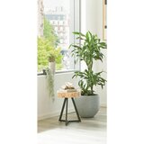MID.YOU MIZICA, črna, barve akacije | Shoptok.si