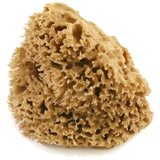 Cose della Natura honeycomb-naravna spužva - majhen, 5-6 g | Shoptok.si