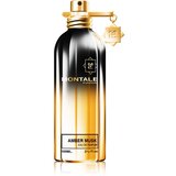 Montale Amber Musk parfumska voda 100 ml unisex Cene
