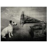  Tapeta - Dog's melodies 200x154 | shoptok.hr