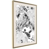  Poster - Black and White Nature 20x30 | shoptok.hr