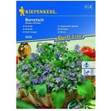 KIEPENKERL Cvetlična semena borage (Borago officinalis) | Shoptok.si