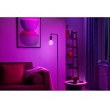 Wiz lED RGBW prigušiva sijalica G95 E27/6,3W/230V 2200-6500K Wi-Fi | Eponuda.com