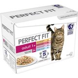 PerfectFIT mešano pakiranje - 12 x 85 g | shoptok.hr