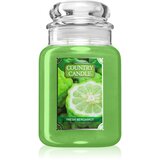 Country Candle Fresh Bergamot dišeča sveča 737 g Cene