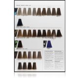 L´Oréal Paris Inoa ODS2 boja za kosu nijansa 9,12 60 g | shoptok.hr