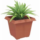  Kvadratna cvetlična posoda 6 pcs Kamnito rdeča Plastika, (5000207571) | Shoptok.si