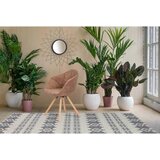 Kayoom SET STOLOV, les, tekstil rjava | Shoptok.si