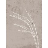 Venture Home poster Seeds 30 × 40 cm, bež | shoptok.hr