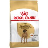 Royal Canin Breed Great Dane Adult - 2 x 12 kg Cijene