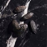 Joop! Homme toaletna voda 125 ml za moške | Shoptok.si
