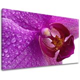  Slike na platnu cveće (moderne slike na platnu) | ePonuda.com