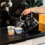 Teesa TSA0152 čajnik s piščalko 3 l, za indukcijo, črn | Shoptok.si