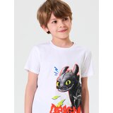 Sinsay Komplet dvodijelne pidžame How to train your dragon | shoptok.hr