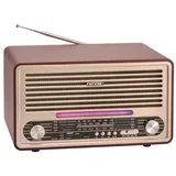 Bluetooth radio 6679BT/B