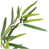 Ixia Umetni bambus (višina 120 cm) Bamboo – | Shoptok.si