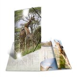 Herma Mapa s elastičnom gumicom A4 PP Glossy Žirafa | shoptok.hr