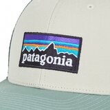 Patagonia Kape s šiltom P-6 LOGO TRUCKER HAT pisana | Shoptok.si