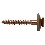PROFI DEPOT Krovni vijaki A2 (Velikost pogona: TX 20, Dolžina: 20 mm, Pobakreno, 100 kos) | Shoptok.si